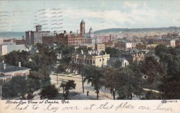 Nebraska Omaha Birds Eye View 1908 - Omaha