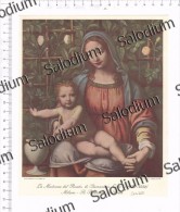 MADONNA DEL ROSETO BERNARDINO LUINI MILANO BRERA  - Immagine Ritagliata Da Pubblicazione Originale D´epoca - Altri & Non Classificati