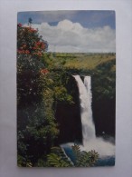 1 POSTCARD POSTAL PC CPA - UNITED STATES USA !!! RARE !!! HAWAII HILO (2 SCANS) - Hilo