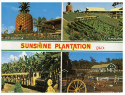 (789) Australia - QLD  - Sunshine Plantation (big Pinneaple) - Sunshine Coast