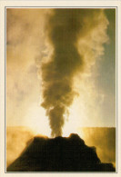 YELLOWSTONE:   IL  GAYSER  "CASTLE"   (NUOVA CON DESCRIZIONE DEL SITO SUL RETRO) - Yellowstone