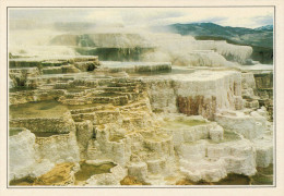 YELLOWSTONE:  MINERVA  TERRACE        (NUOVA CON DESCRIZIONE DEL SITO SUL RETRO) - Yellowstone