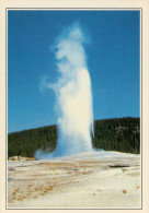 YELLOWSTONE:   IL  GAYSER  OLD  FAITHFUL   (NUOVA CON DESCRIZIONE DEL SITO SUL RETRO) - Yellowstone