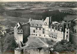 SAINT BRISSON SUR LOIRE LE CHATEAU - Autres & Non Classés