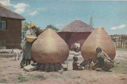 BASUTOS STORING GRAIN -AFRICA - F/G  Colore (11 1110) - Unclassified