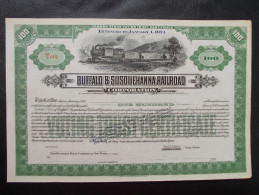 USA - Buffalo & Susquehanna Rail Road Corporation. Titre De 100 Actions - Spoorwegen En Trams