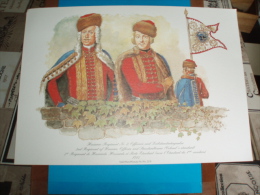 Uniformes ) Fanfaro/ Planche N°23.2 L´histoire Des Hussards Prussiens 1721/1807 De Kurt Geiss Et August-wilhelm Stragand - Uniformen
