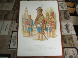 Uniformes ) Fanfaro/ Planche N°24 L´histoire Des Hussards Prussiens 1721/1807 De Kurt Geiss Et August-wilhelm Stragand - Uniformes