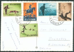 CV Du 23-5-1964 Vers Bruxelles Et Affranchie Avec Série CHASSE (Hunting), Chien, Cerf, Canard Et Oiseaux (bird). - 10825 - Cartas & Documentos