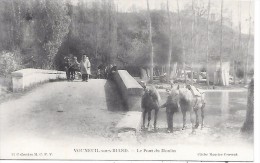 VOUNEUIL SOUS BIARD - Le Pont Du Moulin - Vouneuil Sous Biard