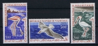 MAURITANIE Mi Nr 178 - 180   MH/* Avec  Charnière  Oiseaux Birds   1961 - Mauretanien (1960-...)