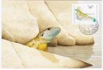 Portugal 1995 Fauna Lizard Reptiles Reptile - Maximum Cards & Covers