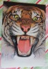 Sa Majesté Le Tigre : Illustration D'Henri Galeron Avec Un Extrait De Reginald Campbell, Folio Junior N°57 - Tigers