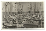 CPA - Photo Carte - Foto Kaart - Pays Bas - TERNEUZEN - Jachthaven  // - Terneuzen