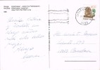 14750. Postal LILLEHAMMER (Norge) Noruega 1989. Catarata De Kjosfossen - Storia Postale