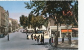 AFRIQUE - ALGERIE - TIARET - La Rue Cambon - Tiaret