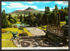 Ireland - Powerscourt Gardens And Sugar Loaf Mountain,Wicklow - Wicklow