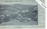 Bade Wurtemberg, Sasbachwalden, Carte Bleutée - Sasbach