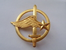 INSIGNE DE BERET COMMANDOS DE L´AIRE / COINDEROUX - Luchtmacht