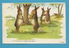 CPA Fantaisie Lapin Rabbit Musicien Violon Trompette Position Humaine Humanisé - Dressed Animals