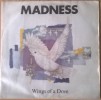 MADNESS - Wings Of A Dove - SKA - Reggae