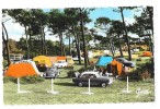 ETAPLES SUR MER (62) Camping La Pinede Automobiles Coccinelle Volkswagen - Etaples