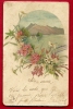 FXH-23  Litho Meggenhorn Und Rigi. Blumen. Pioneer. Gelaufen In 1901 - Meggen