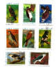 Vietnam Viet Nam  Perf Stamps 1982 : Birds Of Prey / Bird  Used - Vietnam
