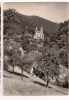 - 68 - MURBACH: Abbaye - Monument Historique -  Cpsm Photomaag Années 50 - - Murbach