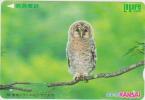 OWL - JAPAN - H100 - PREPAID - Uilen