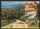 WÄDENSWIL ZH Wirtschaft Restaurant Hotel SCHÖNEGG 1993 - Egg