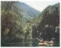 (361) Australia - TAS - Gordon River, Sunshine Gorge Canoeing - Wilderness