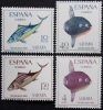 Spanje Sahara, Vissen - Spanische Sahara