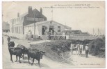 SANGATTE  -  Environs De Calais - Hotel De La Plage , Vaches     - O. LEFEBVRE N° 348 - Sangatte