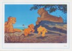 Postogram J 14** : 1994 : STRIPVERHALEN,BANDES DESSINEES, STRIPS,WALT DISNEY : “THE LION KING – The Family”, - Postogram