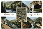 Cp , 48 , Les Gorges Du TARN , Multi Vues , Souvenir , Voyagée 1960 , Ed : Carrière 5 Vca 141 - Other & Unclassified