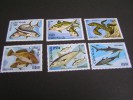 CABOVERDE 1980 425/30. MNH; - Kap Verde