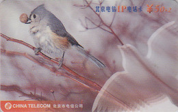 Télécarte Chine Beijing - OISEAU MESANGE - TIT Bird Phonecard - Meise Vogel Telefonkarte - 3963 - Pájaros Cantores (Passeri)