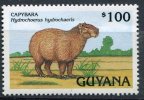 (cl. 5 - P.25) Guyane **  N° 2737 (ref. Michel Au Dos)  -  Rongeur : Le Capybara - - Guyana (1966-...)