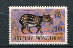 (cl. 5 - P.25) Honduras Britannique **  N° 222 (ref. Michel Au Dos)  -  Rongeur : Le Paca - British Honduras (...-1970)