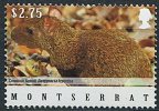 (cl. 5 - P.27) (lo 1) Montserrat **  (ref. Michel Au Dos)  -  Rongeur : L'agouti  - - Montserrat