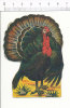 Chromo Découpi Dinde Dindon / Poultry Turkey Animal  // Bim 4/40 - Animales