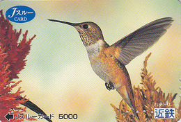 Carte Prépayée Japon - Animal - OISEAU - COLIBRI - Humming BIRD Japan JR J Card - Kolibri Vogel Karte - 3965 - Pájaros Cantores (Passeri)