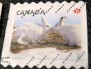 Canada 2011 Baby Animals Rabbit P - Used - Oblitérés