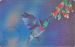 Télécarte Puce Afrique Du Sud - OISEAU - COLIBRI / NECTARINE - HUMMING BIRD South Africa Chip Phonecard - Vogel - 3969 - Uccelli Canterini Ed Arboricoli