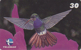 Télécarte Brésil - OISEAU - COLIBRI Sur Orchidee - HUMMING BIRD On Orchid Brazil Phonecard - KOLIBRI Vogel TK - 3984 - Sperlingsvögel & Singvögel