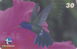 Télécarte Brésil - OISEAU - COLIBRI Sur Orchidee - HUMMING BIRD On Orchid Brazil Phonecard - KOLIBRI Vogel TK - 3985 - Pájaros Cantores (Passeri)