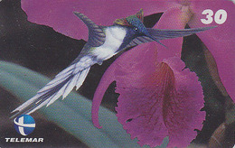 Télécarte Brésil - OISEAU - COLIBRI Sur Orchidee - HUMMING BIRD On Orchid Brazil Phonecard - KOLIBRI Vogel TK - 3986 - Sperlingsvögel & Singvögel