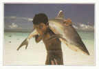 Maldives - Requin à Pointe Blanche - Les Explications Intéréssantes Sont Au Verso De Cette Carte Fiche - Maldives
