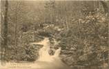Delcampe - Vallée De La Hoëgne - Cascades Marie-Henriette - Spa